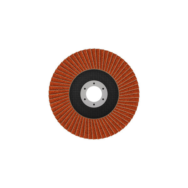 Fächerschleifscheibe 125 mm K40 EXPERT X782 gerade GF T27