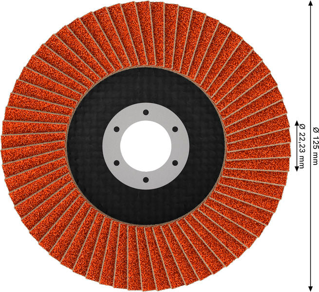 Fächerschleifscheibe 125 mm K40 EXPERT X782 gerade GF T27