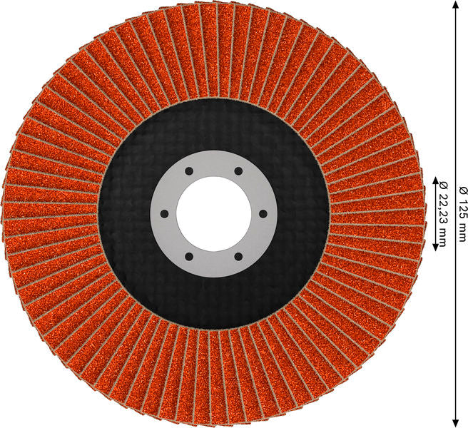 Fächerschleifscheibe 125 mm K120 EXPERT X782 gewinkelt trimmbar T29