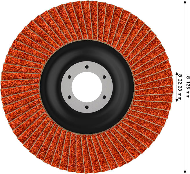 Fächerschleifscheibe 125 mm K40 EXPERT X782 gerade T27