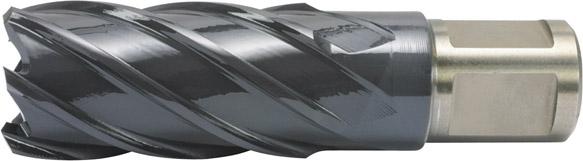 Produktbild von ALFRA Kernbohrer HSS-Co RQX 19/50mm 1902019050 4030266129326