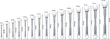 Ringmaulschlüssel-Set 6 - 21 mm (15-teilig)
