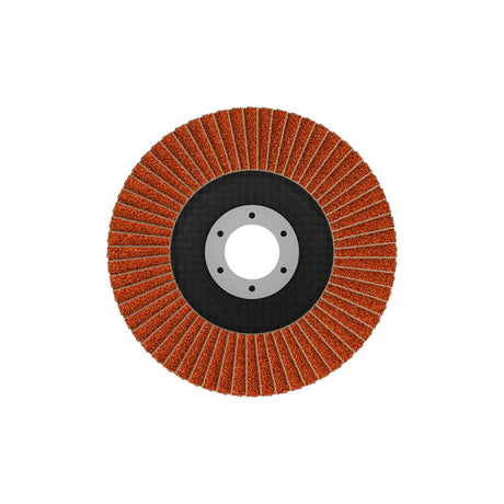 Fächerschleifscheibe 115 mm K40 EXPERT X782 gewinkelt GF T29