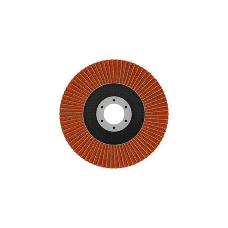 Fächerschleifscheibe 115 mm K120 EXPERT X782 gewinkelt GF T29