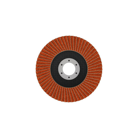 Fächerschleifscheibe 115 mm K40 EXPERT X782 gerade GF T27