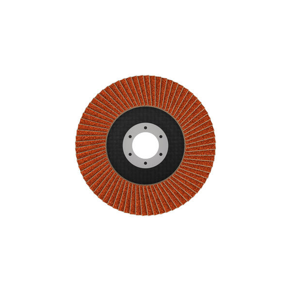 Fächerschleifscheibe 115 mm K80 EXPERT X782 gerade GF T27