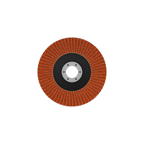 Fächerschleifscheibe 125 mm K40 EXPERT X782 gewinkelt GF T29