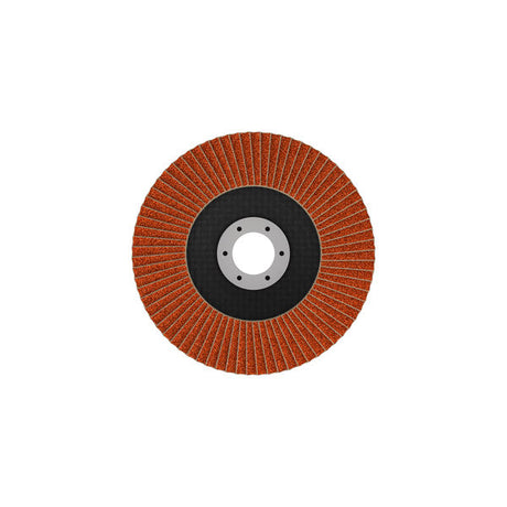 Fächerschleifscheibe 125 mm K80 EXPERT X782 gewinkelt GF T29