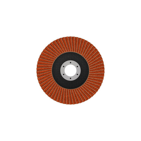 Fächerschleifscheibe 125 mm K40 EXPERT X782 gerade GF T27