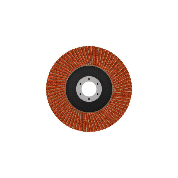 Fächerschleifscheibe 125 mm K80 EXPERT X782 gerade GF T27