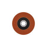 Fächerschleifscheibe 125 mm K80 EXPERT X782 gerade GF T27