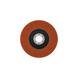 Fächerschleifscheibe 125 mm K120 EXPERT X782 gerade GF T27