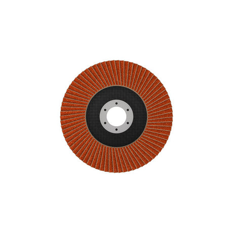 Fächerschleifscheibe 125 mm K120 EXPERT X782 gerade GF T27