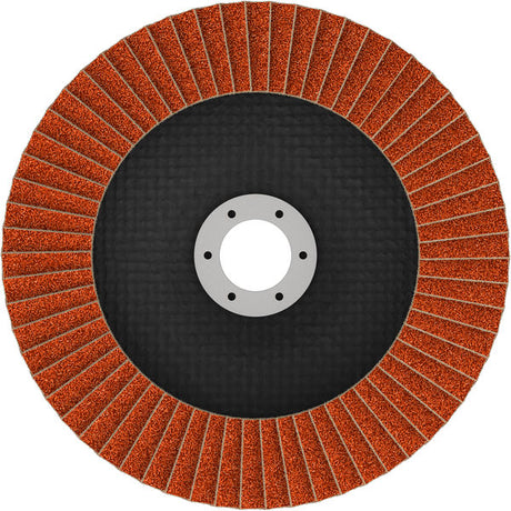 Fächerschleifscheibe 150 mm K40 EXPERT X782 gewinkelt GF T29