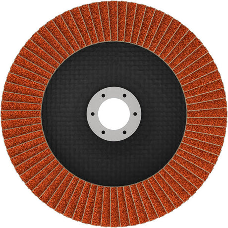 Fächerschleifscheibe 150 mm K80 EXPERT X782 gewinkelt GF T29