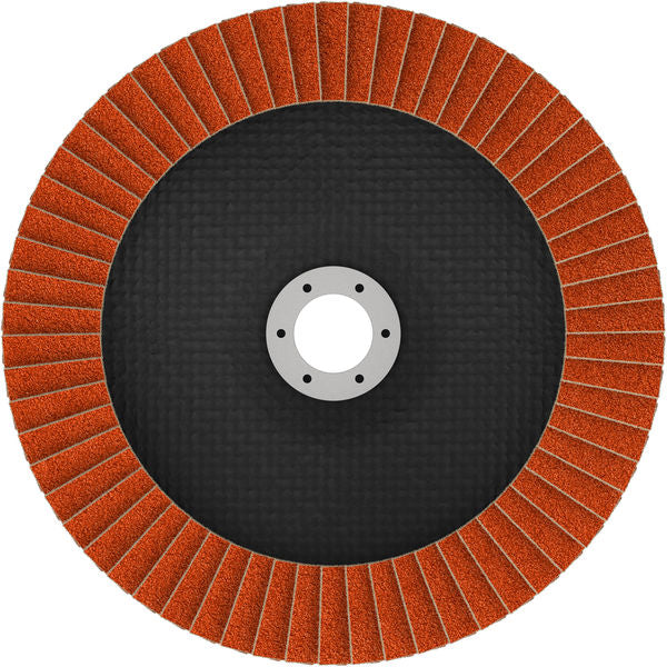 Fächerschleifscheibe 180 mm K60 EXPERT X782 gewinkelt GF T29