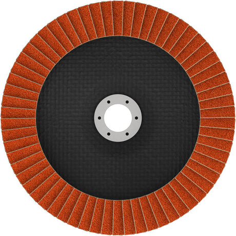 Fächerschleifscheibe 180 mm K60 EXPERT X782 gewinkelt GF T29