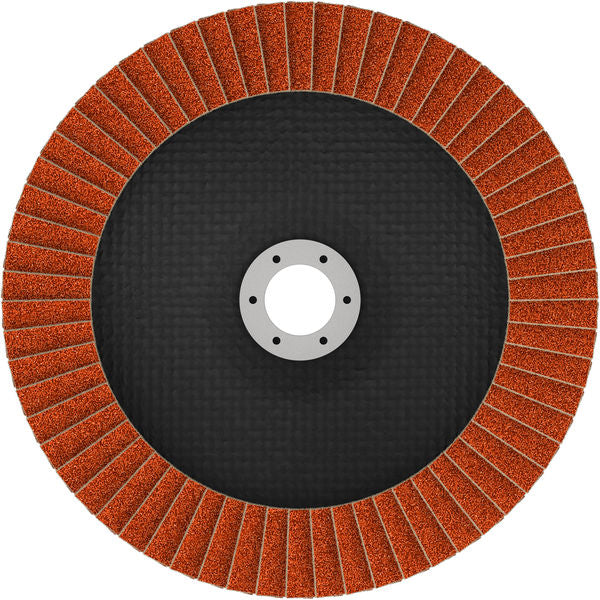 Fächerschleifscheibe 180 mm K80 EXPERT X782 gewinkelt GF T29