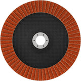 Fächerschleifscheibe 180 mm K80 EXPERT X782 gewinkelt GF T29