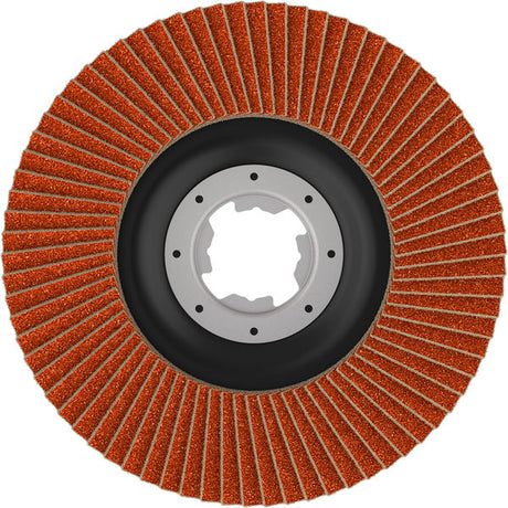 Fächerschleifscheibe 125 mm K120 EXPERT X782 gerade X-Lock T27