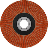 Fächerschleifscheibe 125 mm K40 EXPERT X782 gewinkelt FlexLam T29