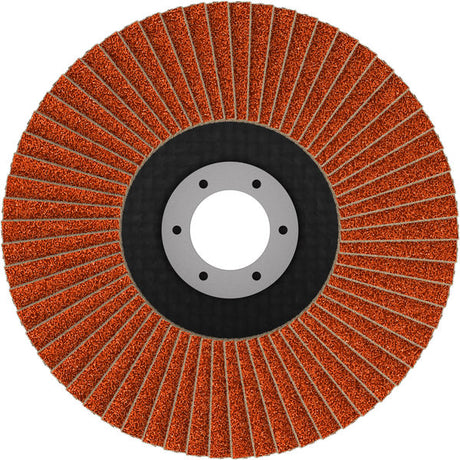 Fächerschleifscheibe 125 mm K40 EXPERT X782 gewinkelt FlexLam T29