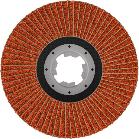 Fächerschleifscheibe 115 mm K80 EXPERT X782 gewinkelt Flex X-Lock T29