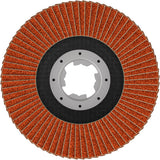 Fächerschleifscheibe 115 mm K80 EXPERT X782 gewinkelt trimmbar X-Lock T29
