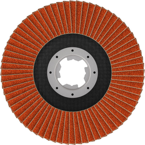 Fächerschleifscheibe 125 mm K60 EXPERT X782 gewinkelt X-Lock trimmbar T29