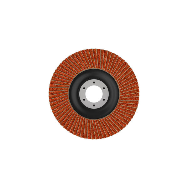 Fächerschleifscheibe 115 mm K80 EXPERT X782 gerade T27