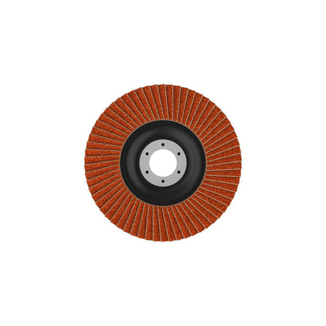 Fächerschleifscheibe 125 mm K40 EXPERT X782 gerade T27