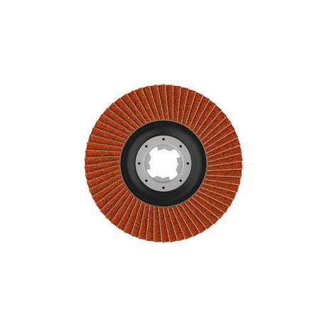 Fächerschleifscheibe 125 mm K40 EXPERT X782 gerade X-Lock T27
