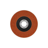 Fächerschleifscheibe 115 mm K80 EXPERT X782 gewinkelt trimmbar T29
