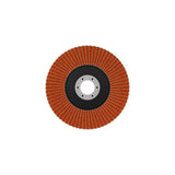 Fächerschleifscheibe 125 mm K60 EXPERT X782 gewinkelt trimmbar T29
