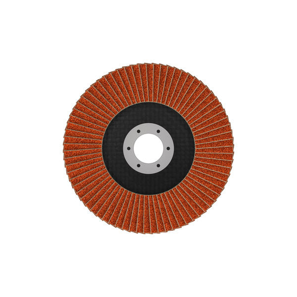 Fächerschleifscheibe 125 mm K80 EXPERT X782 gewinkelt trimmbar T29