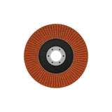Fächerschleifscheibe 125 mm K80 EXPERT X782 gewinkelt trimmbar T29