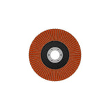 Fächerschleifscheibe 125 mm K120 EXPERT X782 gewinkelt trimmbar T29
