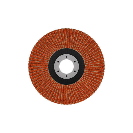 Fächerschleifscheibe 115 mm K80 EXPERT X782 gewinkelt FlexLam T29