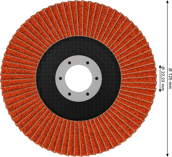 Fächerschleifscheibe 125 mm K80 EXPERT X782 gewinkelt trimmbar T29