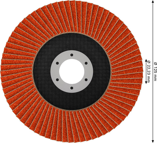 Fächerschleifscheibe 125 mm K120 EXPERT X782 gerade GF T27
