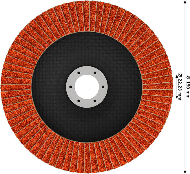 Fächerschleifscheibe 150 mm K80 EXPERT X782 gewinkelt GF T29