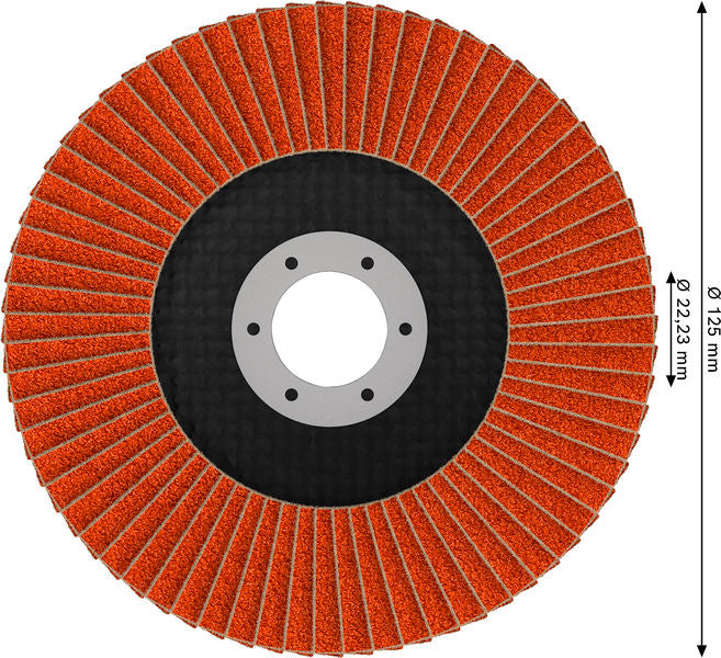 Fächerschleifscheibe 125 mm K60 EXPERT X782 gewinkelt trimmbar T29