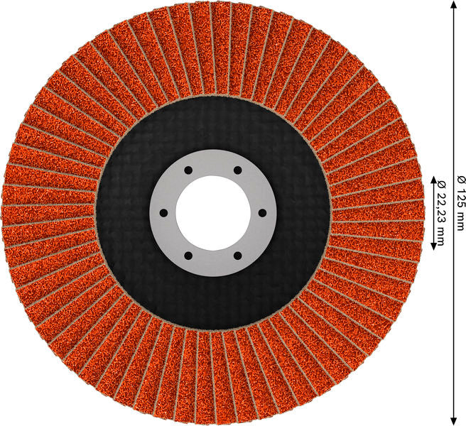 Fächerschleifscheibe 125 mm K40 EXPERT X782 gewinkelt GF T29