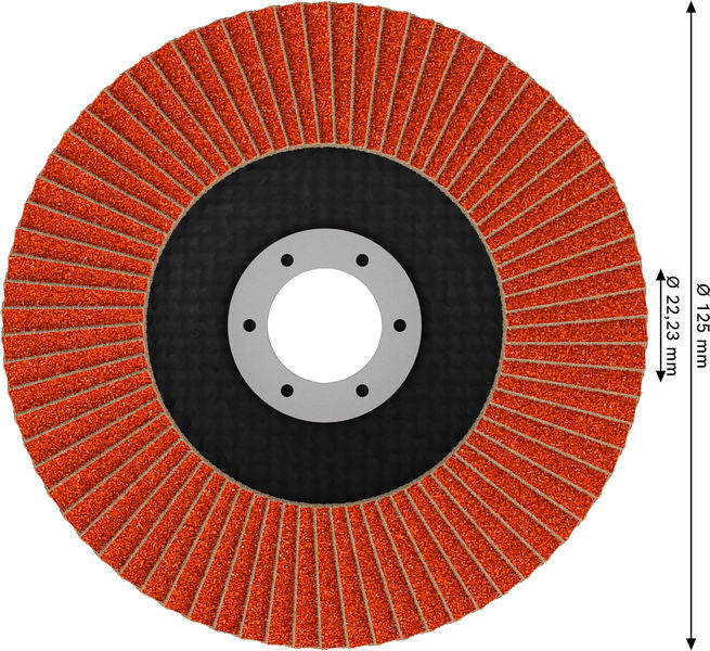 Fächerschleifscheibe 125 mm K120 EXPERT X782 gewinkelt GF T29