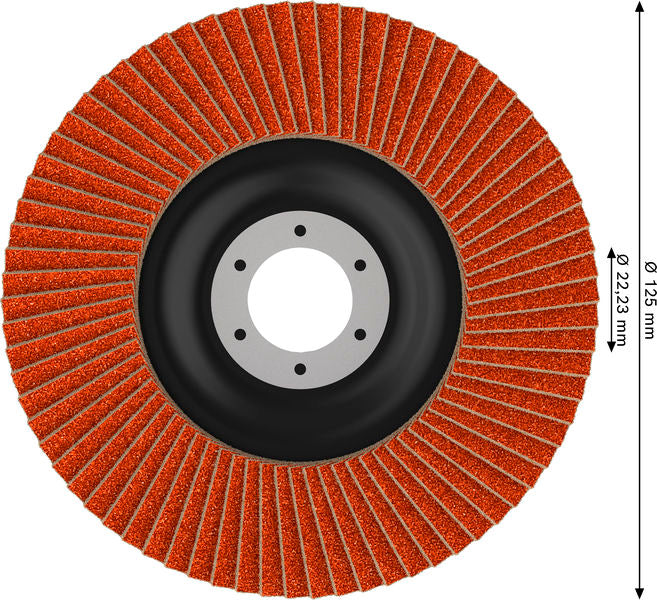 Fächerschleifscheibe 125 mm K120 EXPERT X782 gerade T27