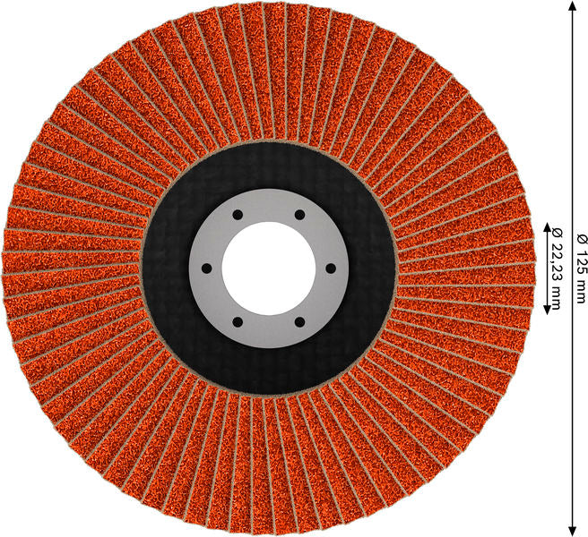 Fächerschleifscheibe 125 mm K80 EXPERT X782 gewinkelt FlexLam T29