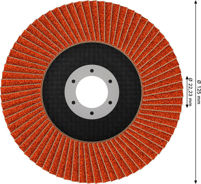 Fächerschleifscheibe 125 mm K80 EXPERT X782 gerade GF T27