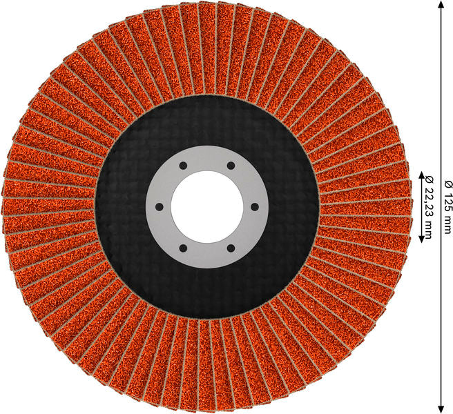 Fächerschleifscheibe 125 mm K40 EXPERT X782 gewinkelt trimmbar T29