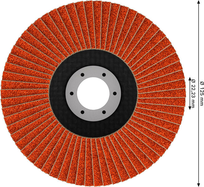 Fächerschleifscheibe 125 mm K40 EXPERT X782 gewinkelt FlexLam T29