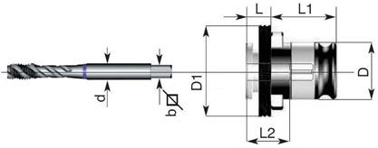 Schnellwechsel Einsatz Fe2 8,00Mm Fortis - 6088